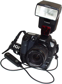 Camera with knobs on