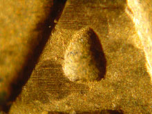 Microscope close-up
